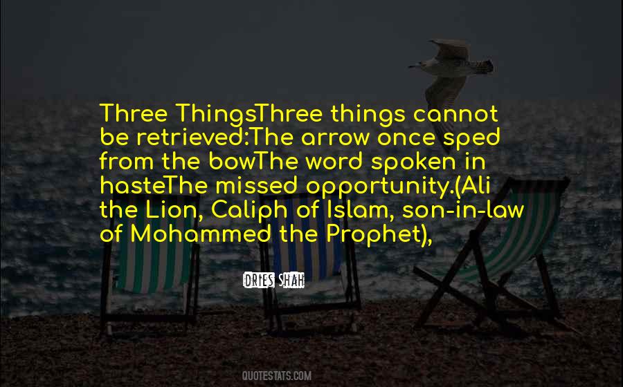Quotes About The Lion #1071176