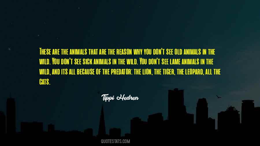 Quotes About The Lion #1714298