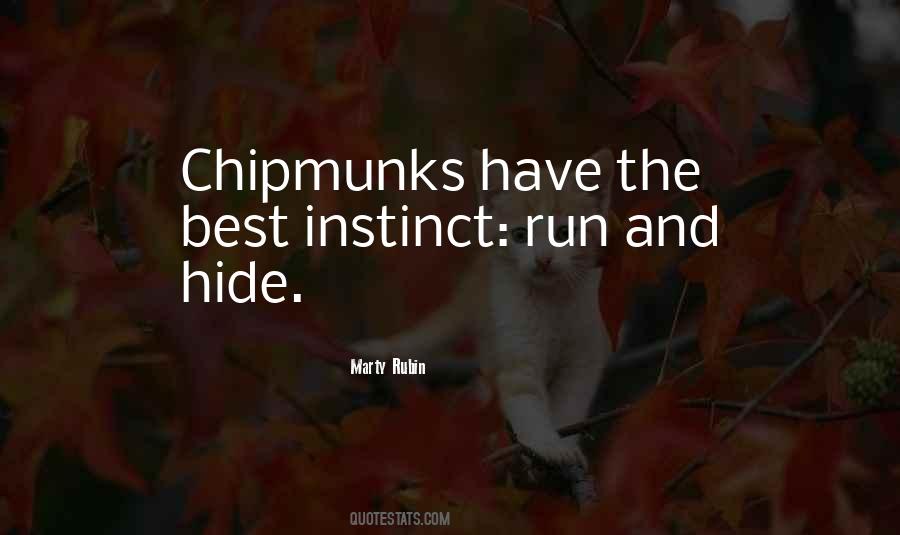 Quotes About Chipmunks #670221