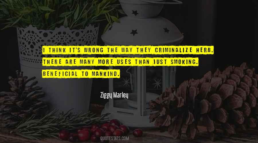 Many Uses Quotes #1704251