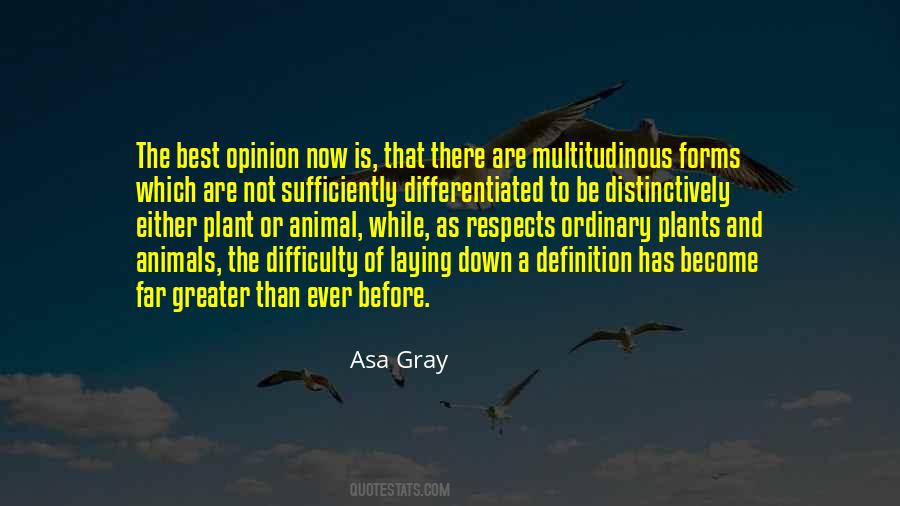 Quotes About Internists #94433
