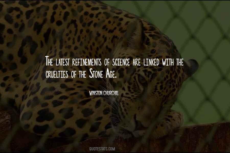Quotes About Stone Age #180836