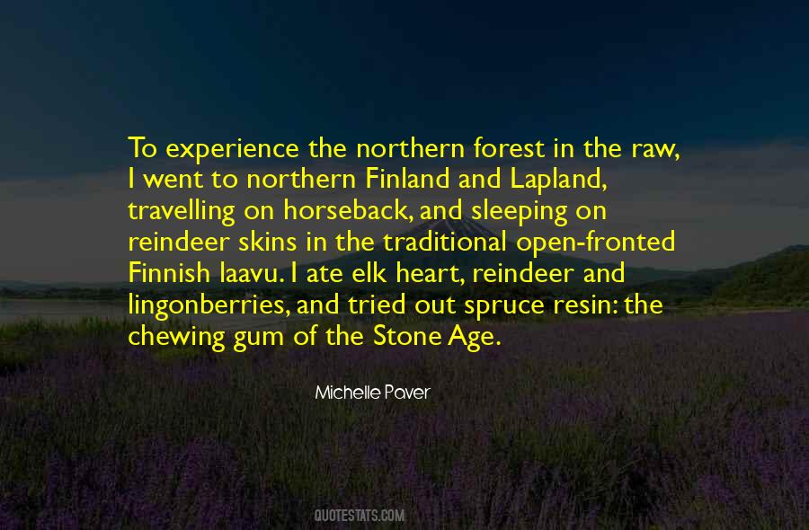 Quotes About Stone Age #63821