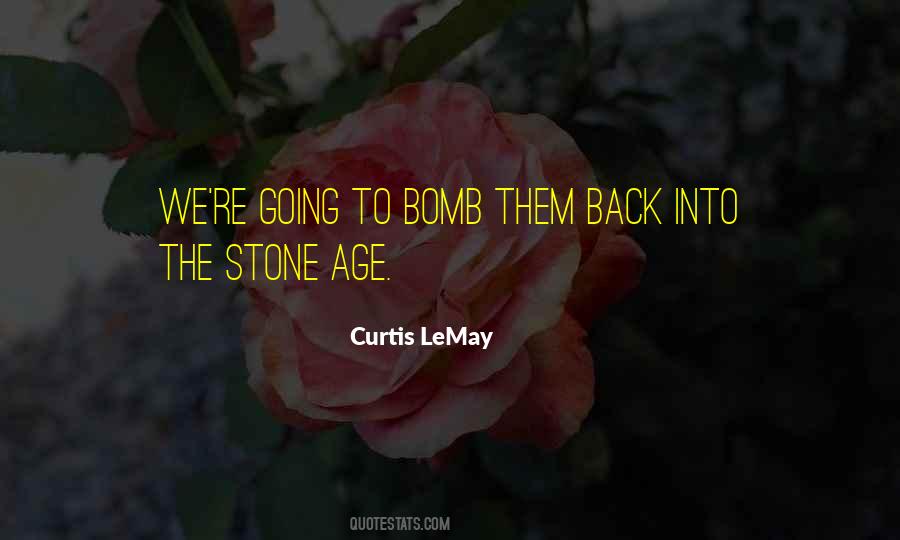 Quotes About Stone Age #687899