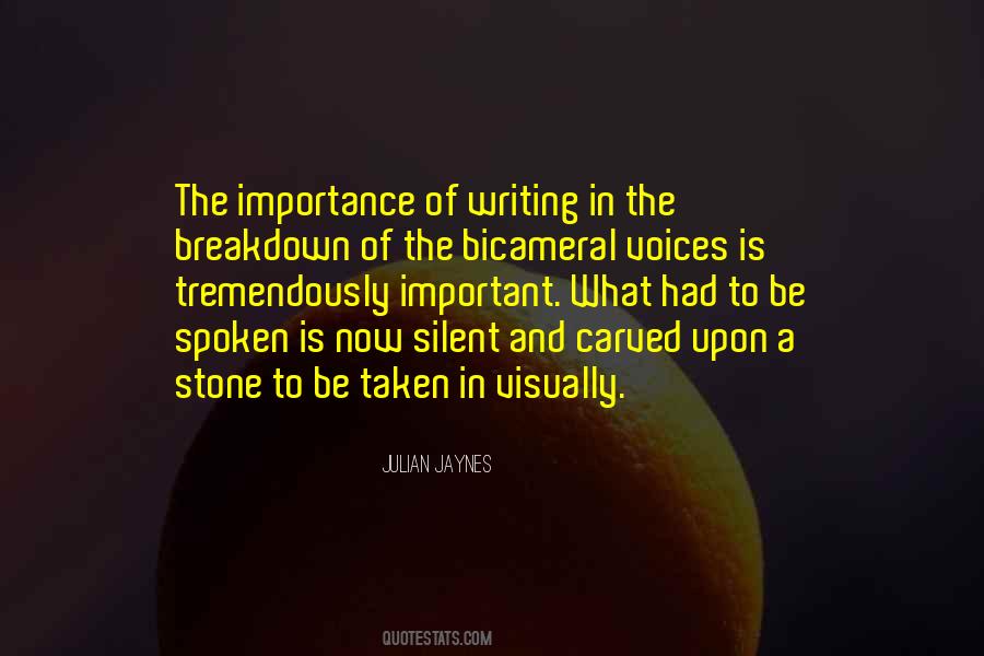 Quotes About Importance Of Writing #1008959