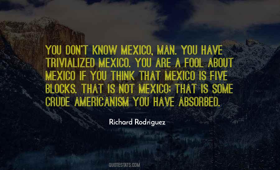 Quotes About Americanism #252252