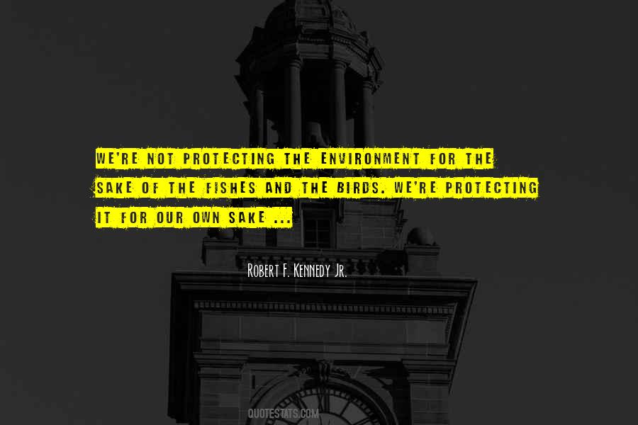 Quotes About Protecting The Environment #365363