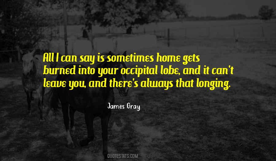 Occipital Lobe Quotes #640665