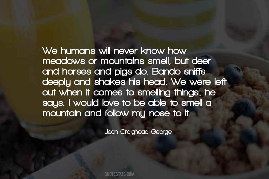 Quotes About Senses Smell #519707