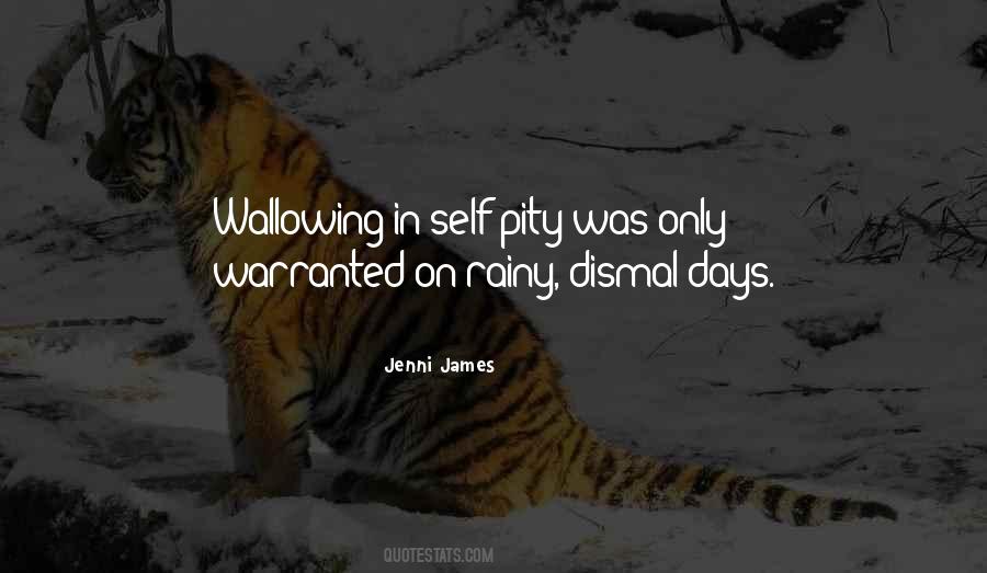Quotes About Rainy Days #1065634