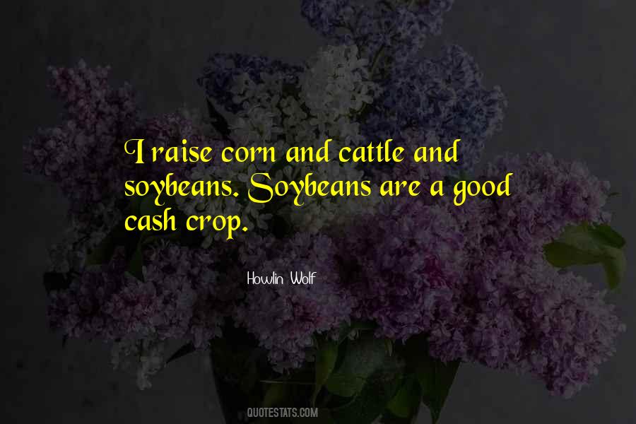 Quotes About Soybeans #147256