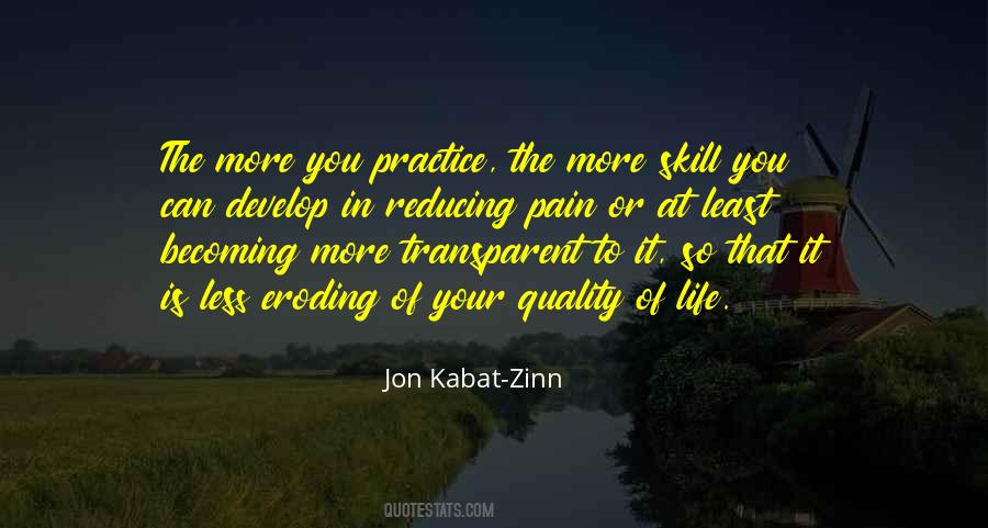 Jon Kabat Quotes #638879