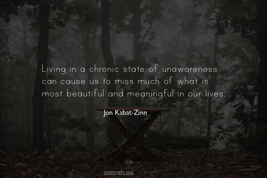 Jon Kabat Quotes #767872