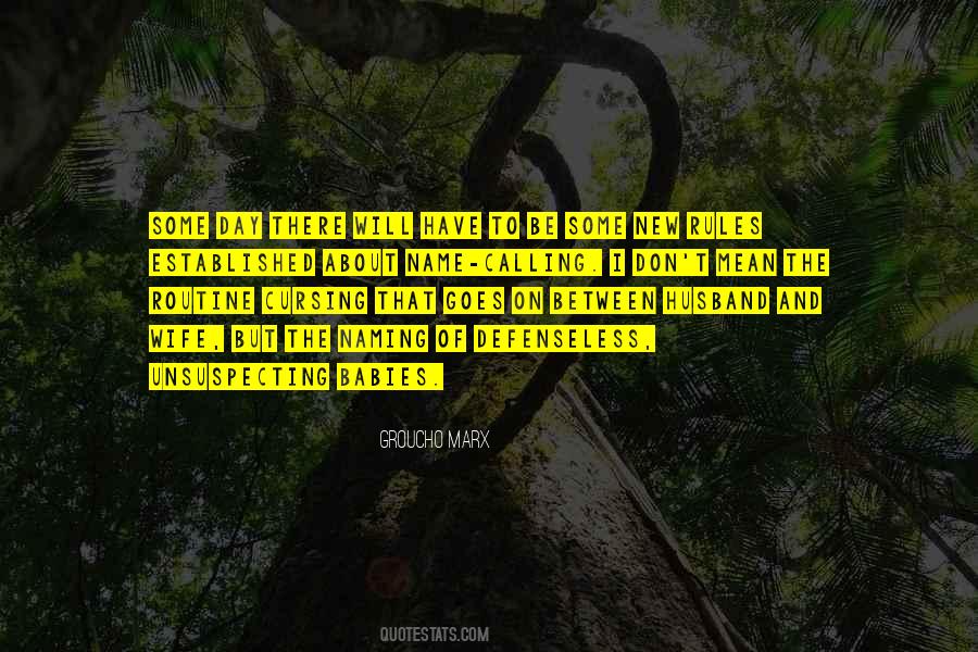 Quotes About No Name Calling #340251
