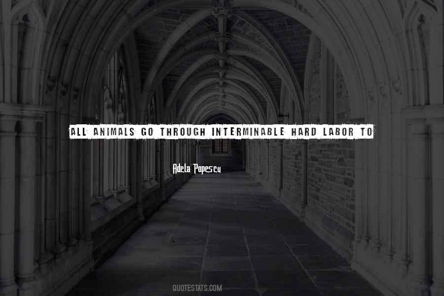 Quotes About Mental #1743915