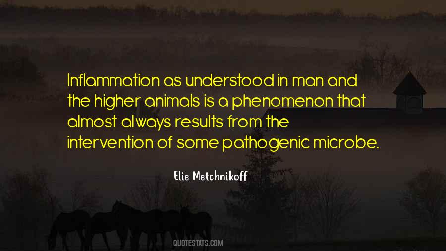 Quotes About Inflammation #921606