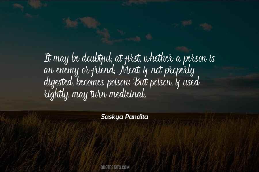 Quotes About Doubtful #284378 Quotes About Doubtful #284378