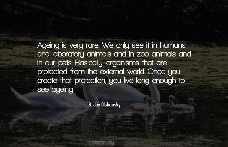 Quotes About Animals And Humans #876792