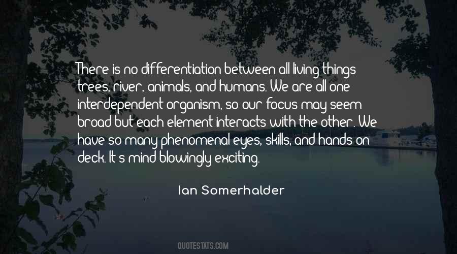 Quotes About Animals And Humans #878340