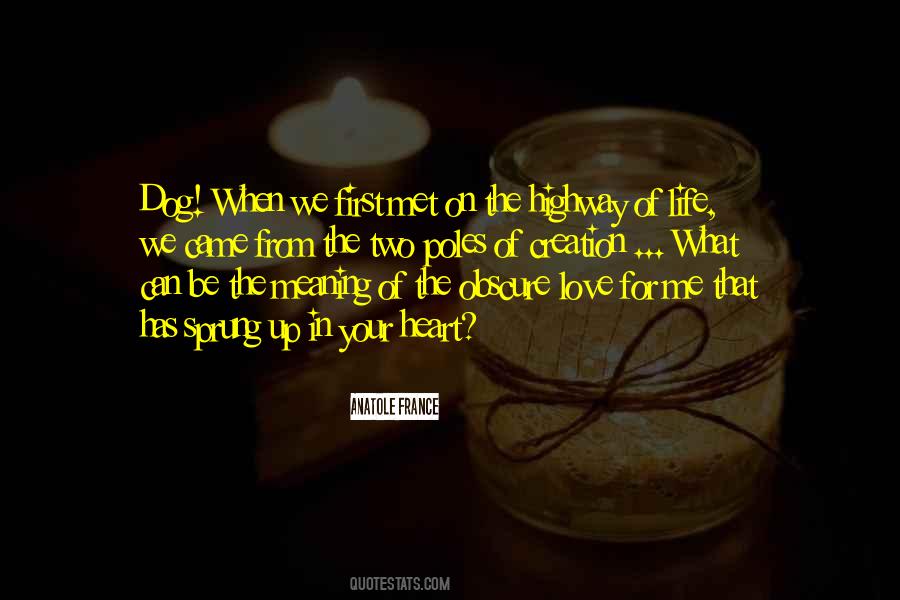 Sprung Up Quotes #1396432