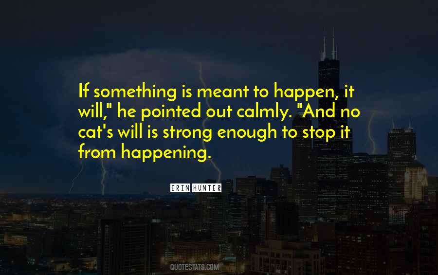 Quotes About Meant To Happen #120019