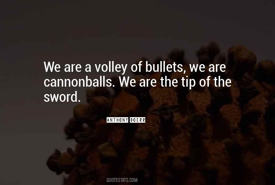 Quotes About Bullets #1396251