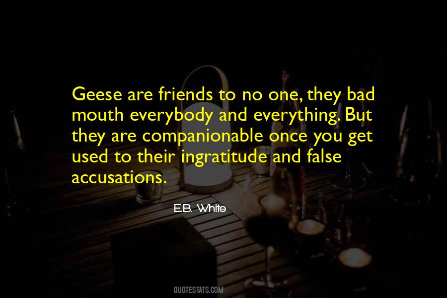 Quotes About False Accusations #1417998