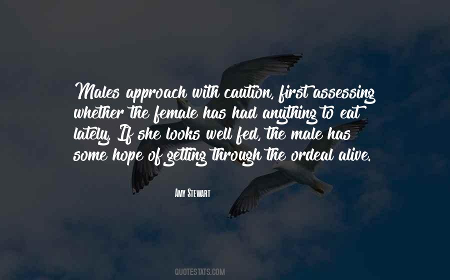 She Male Quotes #693853