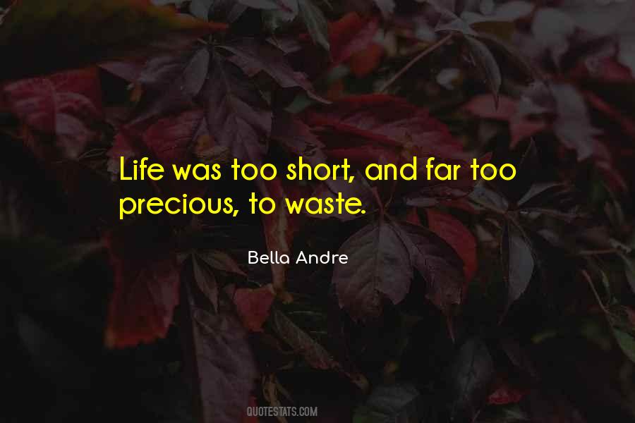 Quotes About Short Life #18712
