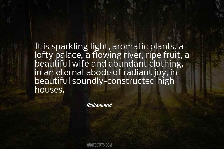 Quotes About Radiant #124767