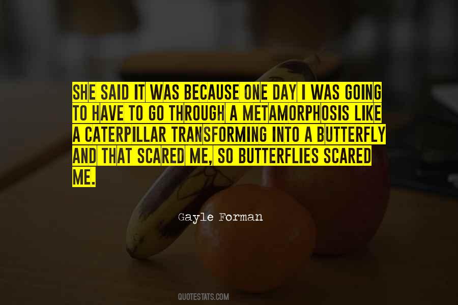 Quotes About Butterfly Metamorphosis #440643