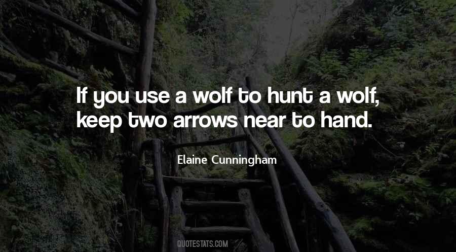 Quotes About Arrows #1315346