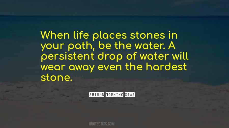 Quotes About Your Path In Life #823229