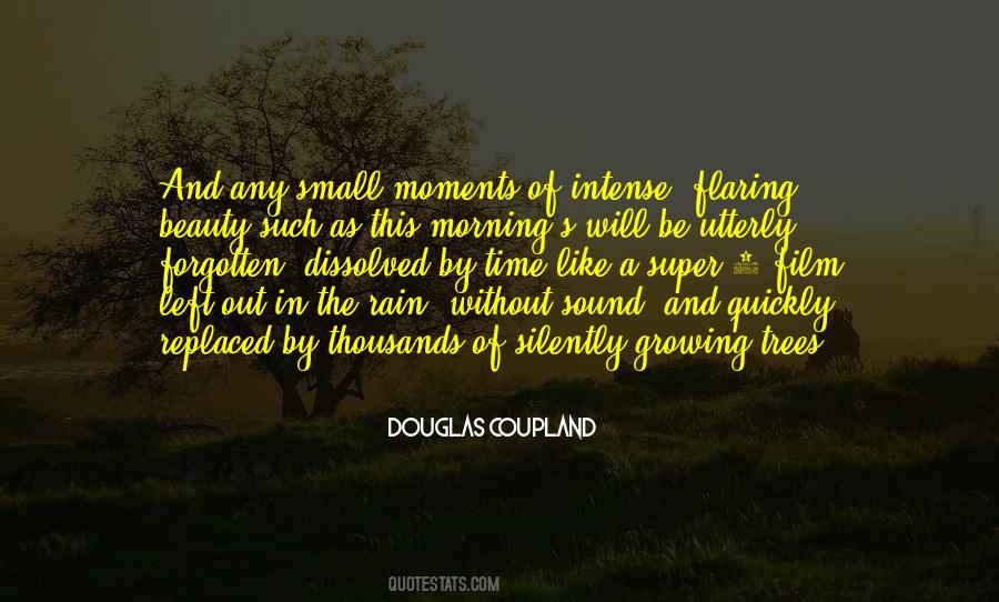 Quotes About Sound Of Rain #457677