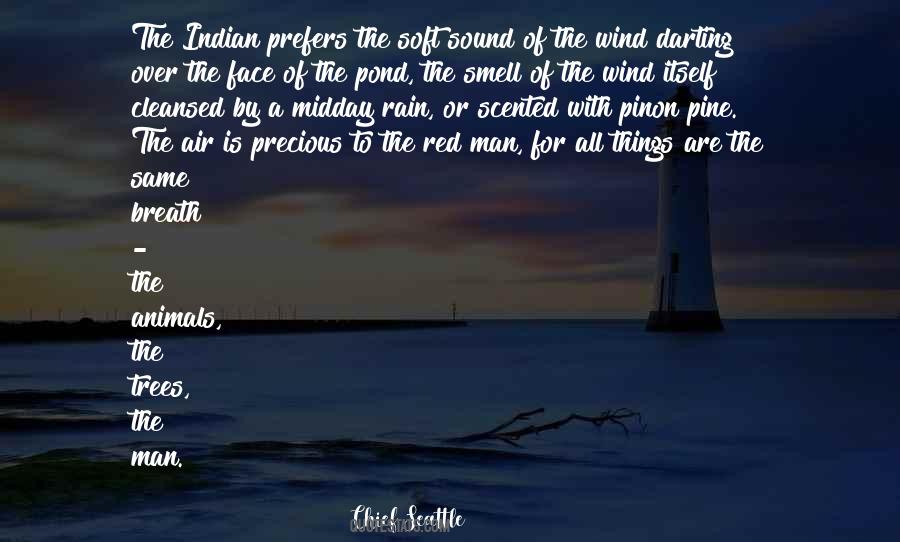 Quotes About Sound Of Rain #790364