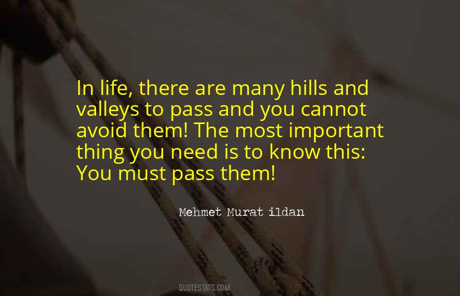 Quotes About The Valleys Of Life #17452