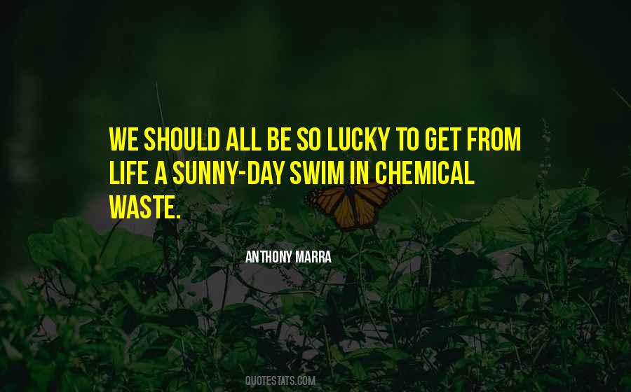 So Lucky Quotes #1737533