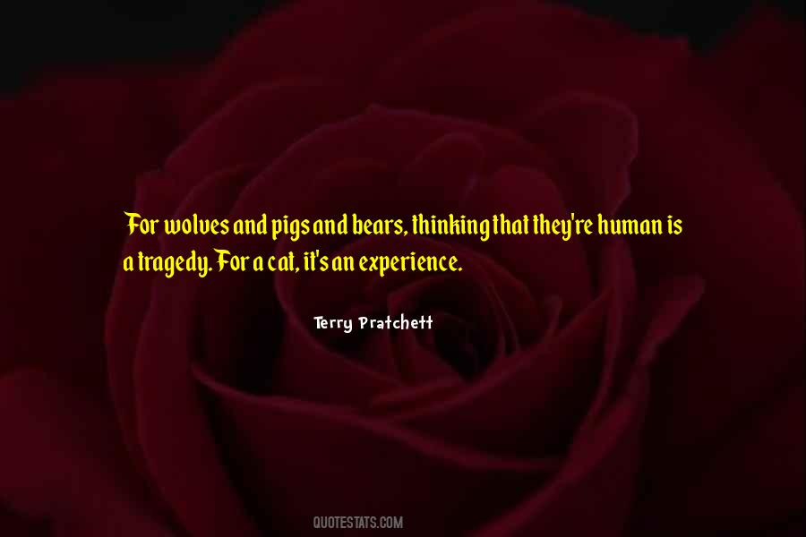 Human Tragedy Quotes #1259212