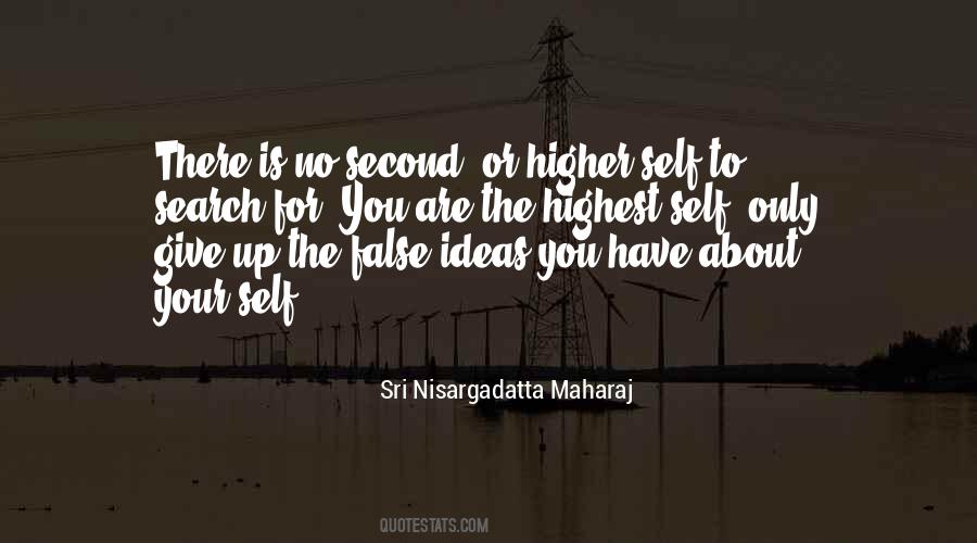 Quotes About The Higher Self #268512