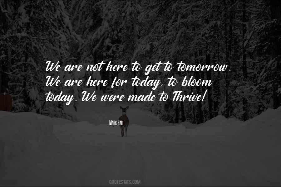 Quotes About Today Not Tomorrow #55360