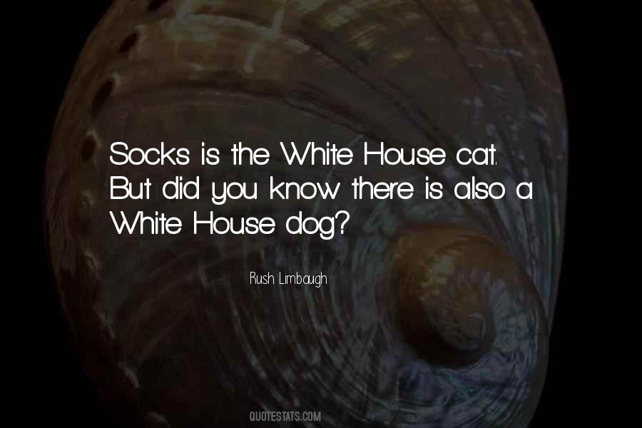 Quotes About Socks #1082463