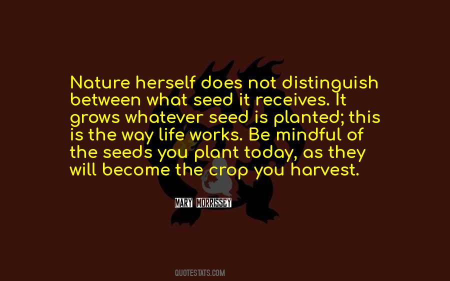 Plant Seeds Quotes #1454983