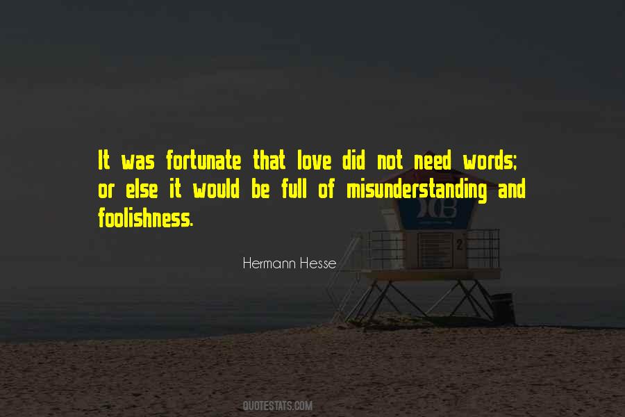 Quotes About Misunderstanding #1768776