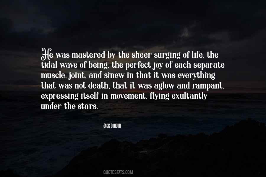 Joy Of Flying Quotes #1462448