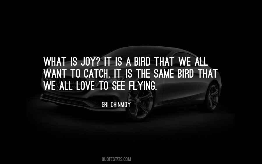 Joy Of Flying Quotes #1520866