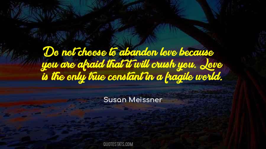 Love Fragile Quotes #122552