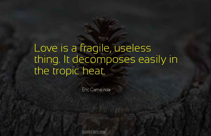 Love Fragile Quotes #1338288