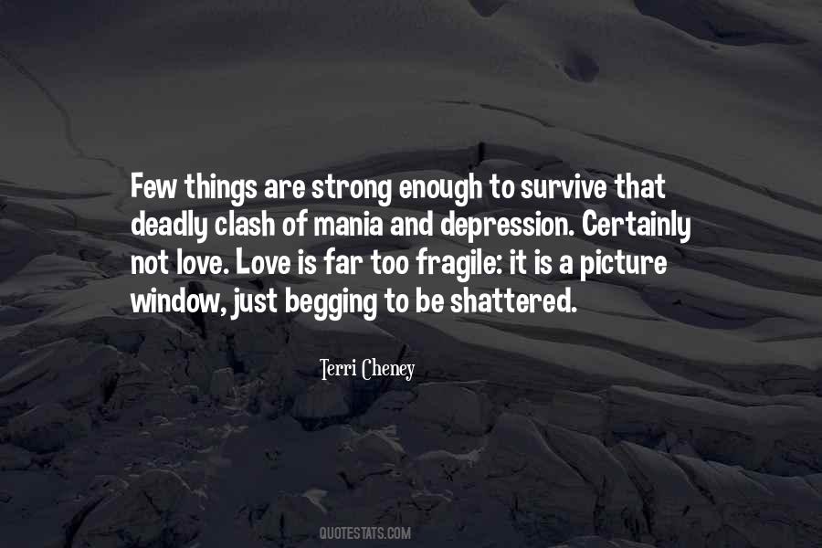 Love Fragile Quotes #227717
