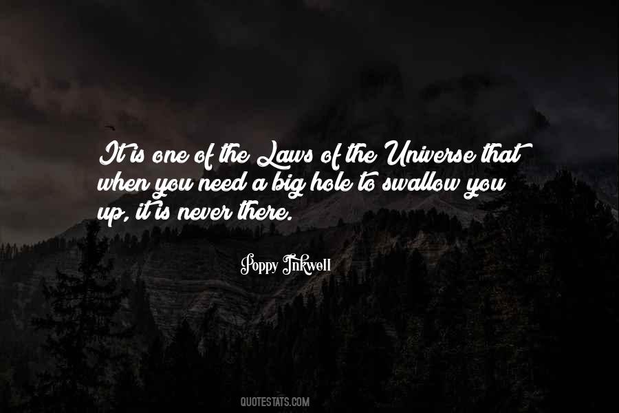 Quotes About The Laws Of The Universe #1240120