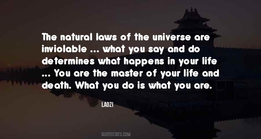 Quotes About The Laws Of The Universe #535148
